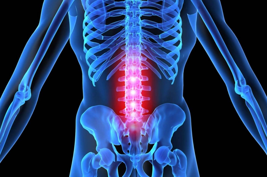 Какой врач лечит позвоночник? К какому специалисту обращаться при болях в спине?